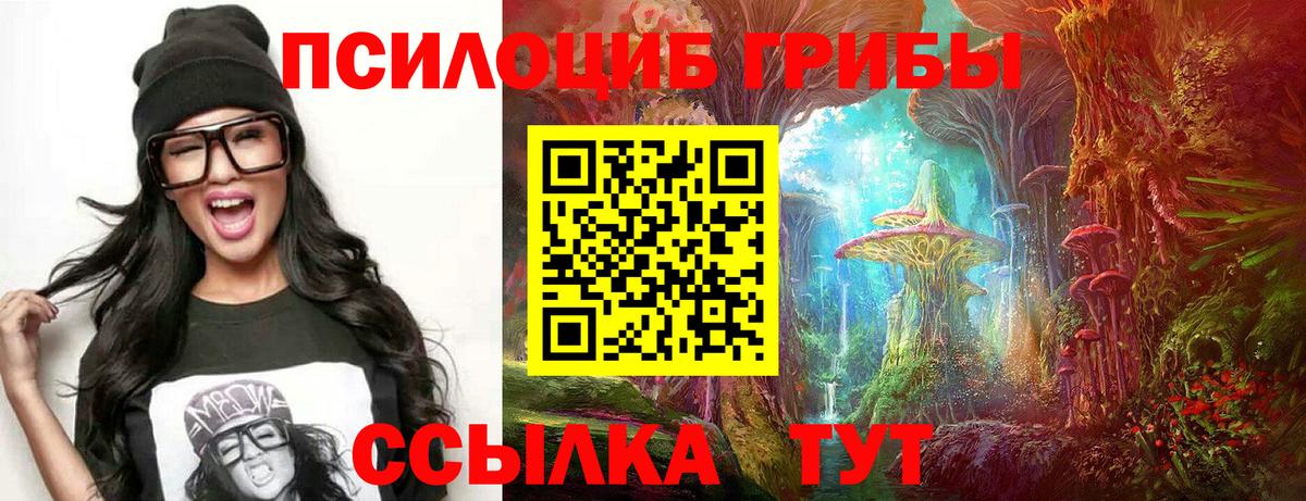 Псилоцибиновые грибы MAGIC MUSHROOMS  Вход с VPN  Липецк 